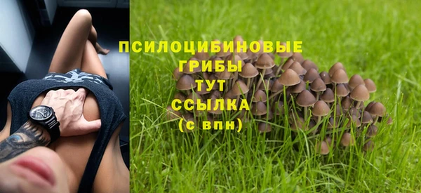таблы Горнозаводск