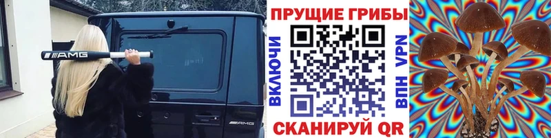 Галлюциногенные грибы Psilocybe  darknet телеграм  Зеленокумск 
